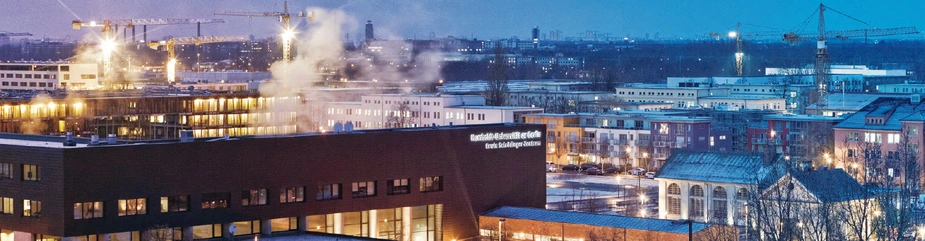 Abendliches Panorama, das für sich selbst spricht: Kräne über dem Technologiepark Adlershof